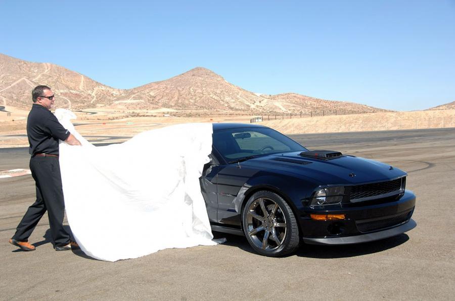  Saleen Dark Horse 2009 года  (фото 22 из 34)